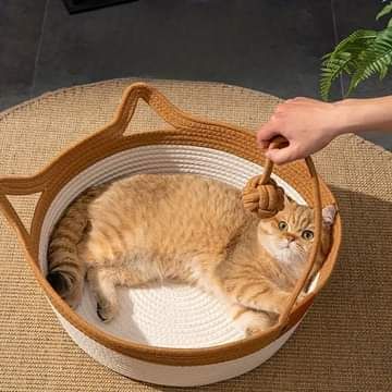 Instinct Basket for Cats