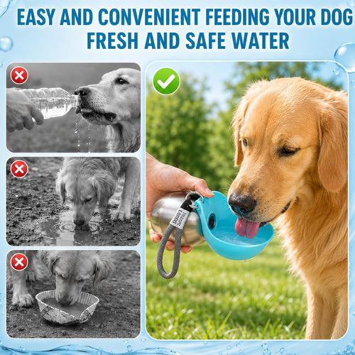 2 in 1 Stainless Steel Portable Tumbler for Dogs Water Bottle